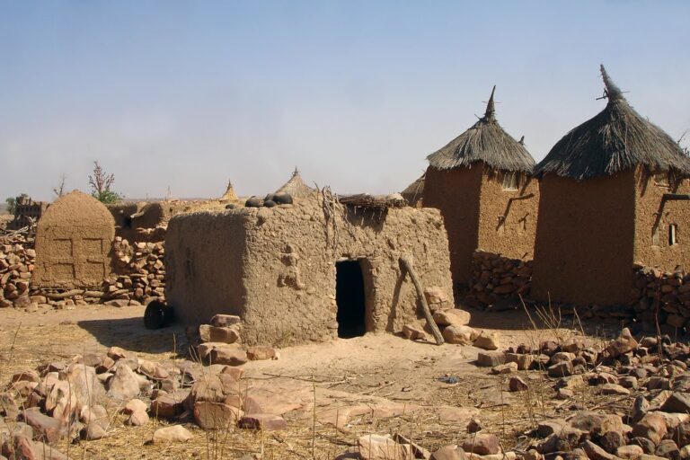 This is a rural scene of a village in Africa with mud-brick houses, some with thatched roofs, surrounded by a rocky, arid landscape under a hazy sky.
