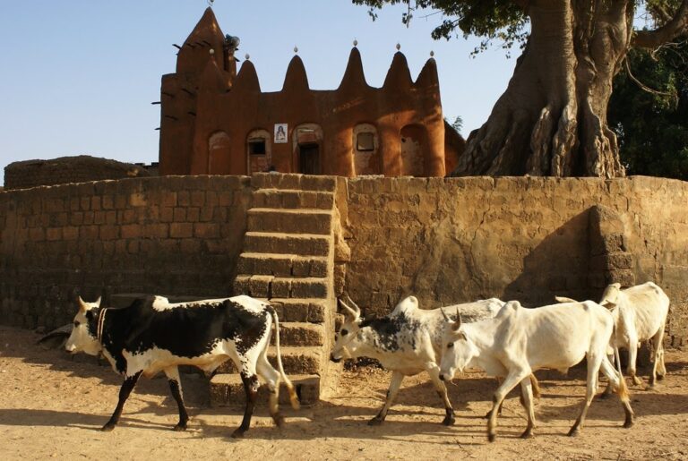 A herd of cows walks past a mud brick building with a large tree behind it in a rural setting.